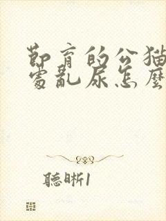 节育的公猫还到处乱尿怎么办封面