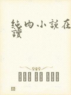 纯肉小说在线阅读