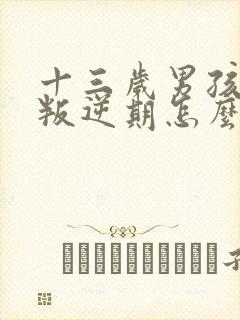 十三岁男孩到了叛逆期怎么教封面