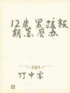 12岁男孩叛逆期怎么办