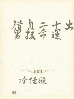 腊月二十出生的男孩命运