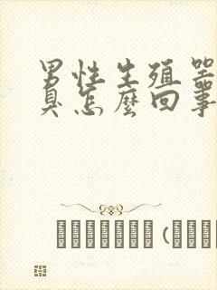 男性生殖器官发臭怎么回事