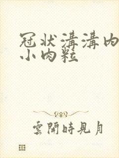 冠状沟沟内侧长小肉粒封面