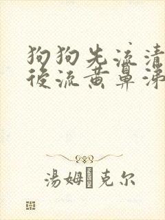 狗狗先流清鼻涕后流黄鼻涕