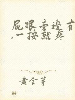 屁眼旁边有个包,一按就疼