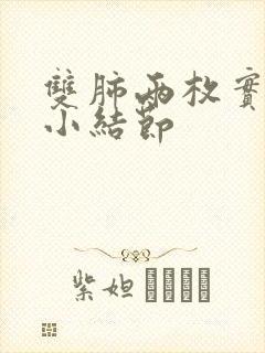 双肺两枚实性微小结节