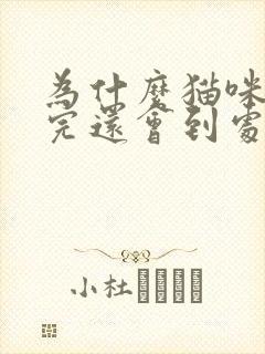 为什么猫咪绝育完还会到处拉尿