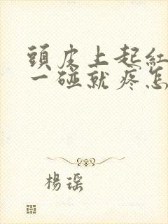 头皮上起红疙瘩一碰就疼怎么回事封面