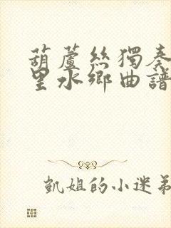 葫芦丝独奏曲梦里水乡曲谱