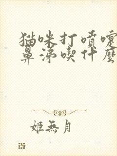 猫咪打喷嚏流清鼻涕吃什么药