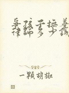 争孩子抚养权请律师多少钱