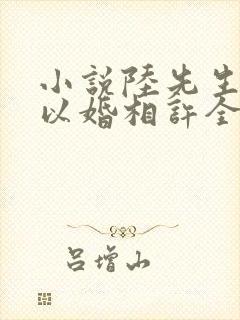 小说陆先生偏要以婚相许全文阅读封面