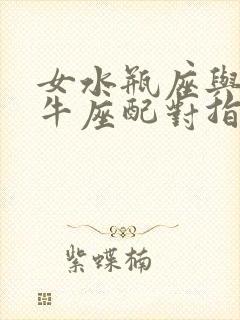 女水瓶座与男金牛座配对指数