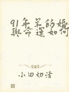 91年羊的婚姻与命运如何