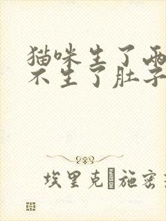 猫咪生了两只就不生了肚子还很大