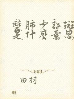 双肺少许斑片影是什么意思