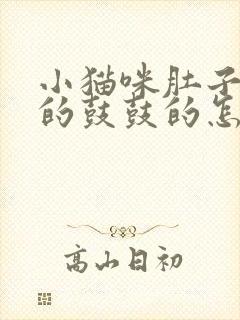 小猫咪肚子胀胀的鼓鼓的怎么回事