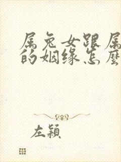 属兔女跟属狗男的姻缘怎么样封面