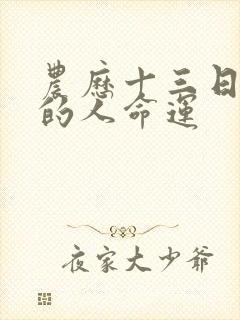 农历十三日出生的人命运封面