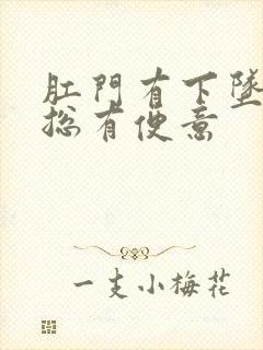 肛门有下坠感还总有便意