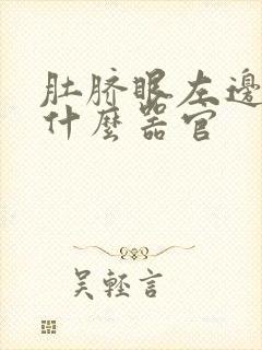 肚脐眼左边疼是什么器官封面