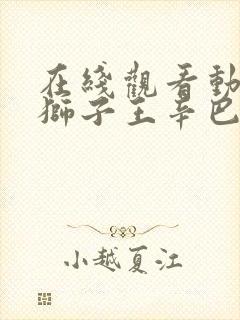 在线观看动漫 狮子王辛巴正版