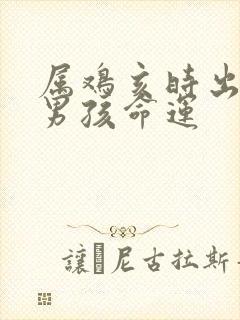 属鸡亥时出生的男孩命运