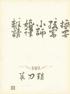 离婚小孩抚养权请律师需要多少钱