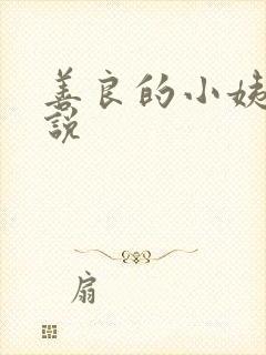 善良的小姨子小说