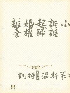 离婚起诉小孩抚养权归谁