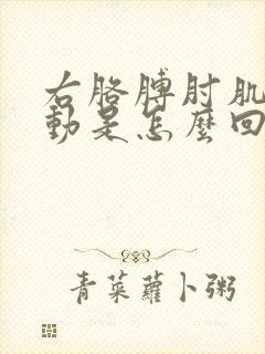 右胳膊肘肌肉跳动是怎么回事