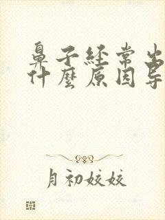 鼻子经常出血是什么原因导致的