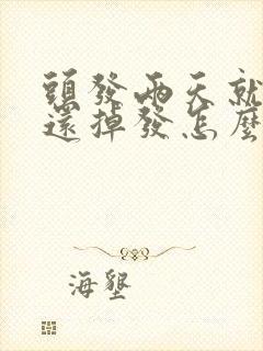 头发两天就出油还掉发怎么办