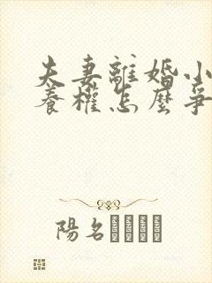 夫妻离婚小孩抚养权怎么争取