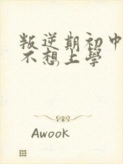 叛逆期初中男孩不想上学