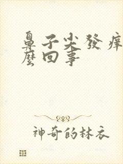 鼻子尖发痒是怎么回事