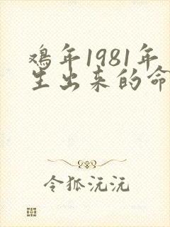 鸡年1981年生出来的命运