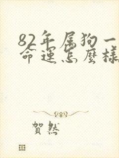 82年属狗一生命运怎么样