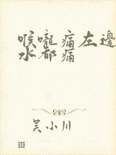 喉咙痛左边咽口水都痛封面