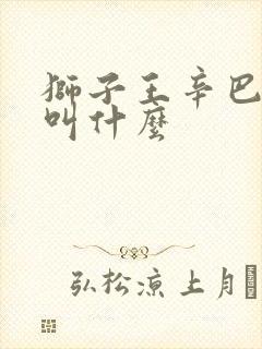 狮子王辛巴父亲叫什么