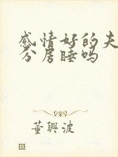 感情好的夫妻会分房睡吗封面