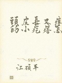 头皮长又痒又疼的小疙瘩怎么办