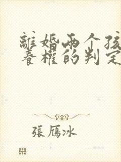 离婚两个孩子抚养权的判定标准