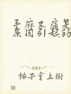 手麻又痛是什么原因引起的