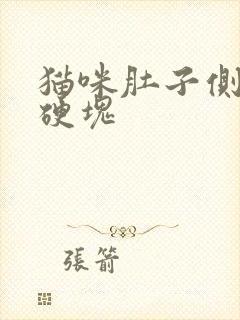 猫咪肚子侧面有硬块