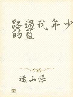 路过我年少时光的蓝