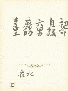 农历六月初一出生的男孩命运封面