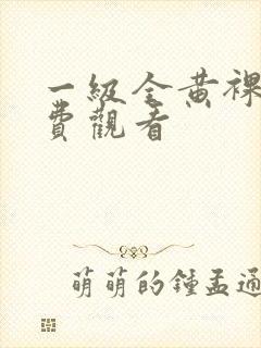 一级全黄裸体免费观看