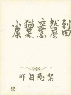 小猫突然到处拉屎是怎么回事封面