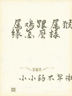 属鸡跟属猴的姻缘怎么样封面